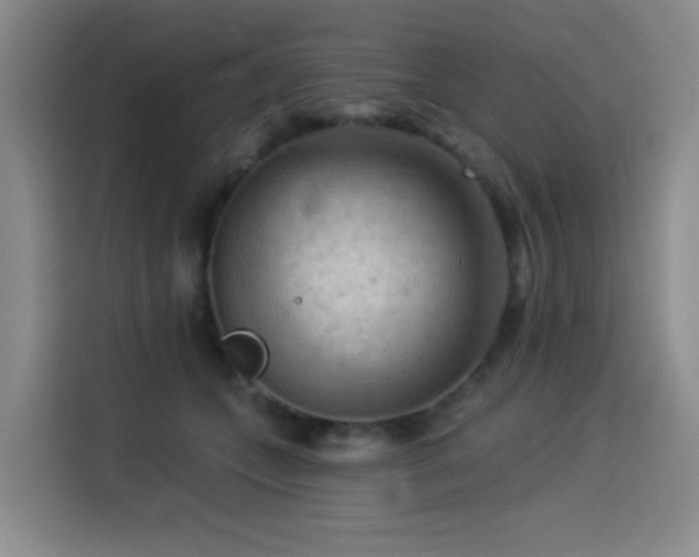 X0000114530559200910191324