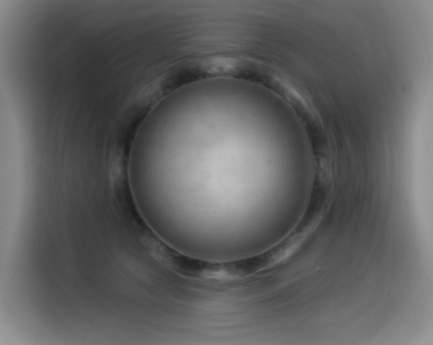 X0000114530561200910191324
