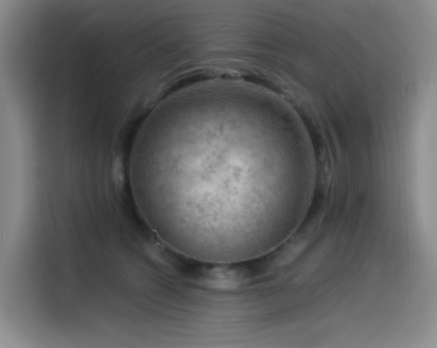 X0000114530562200910191324