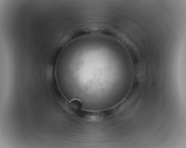 X0000114530563200910191324
