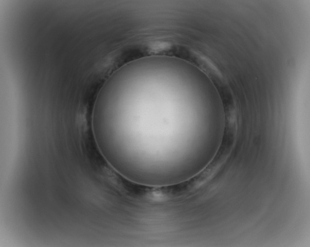 X0000114530565200910191324