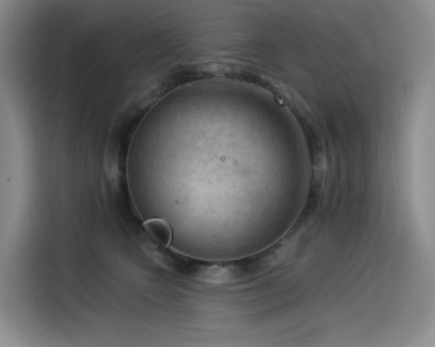 X0000114530566200910191324