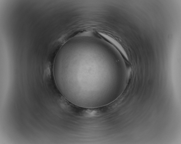 X0000114530570200910191324