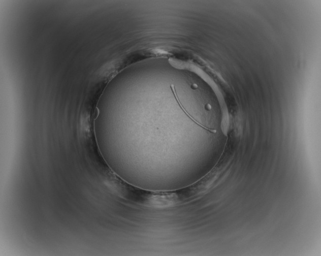 X0000114530571200910191324