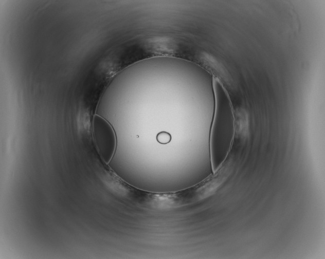 X0000114530573200910191324