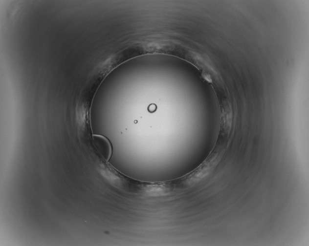 X0000114530574200910191324