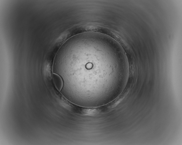 X0000114530575200910191324