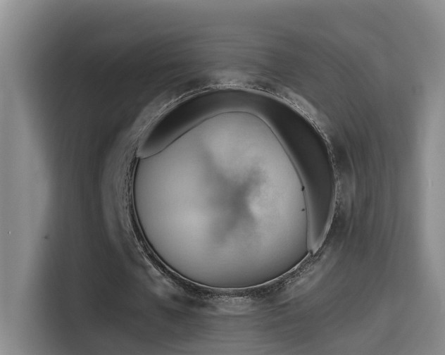 X0000114530577200910191323