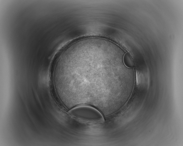 X0000114530579200910191323