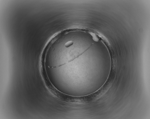 X0000114530580200910191323