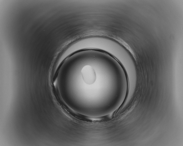 X0000114530581200910191323