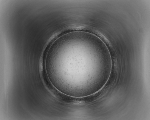 X0000114530582200910191323