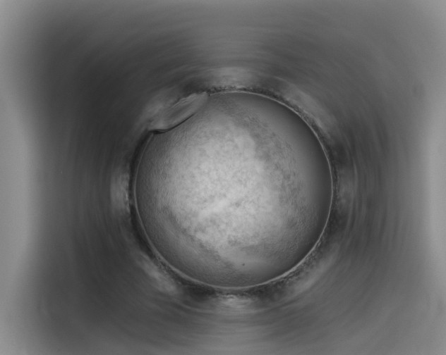 X0000114530585200910191323
