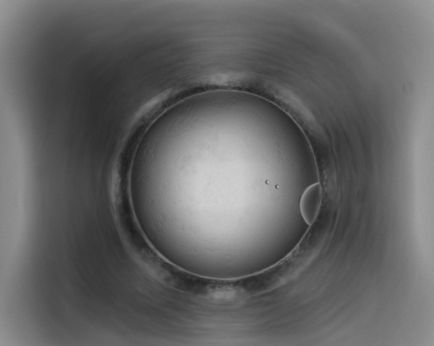X0000114530587200910191323