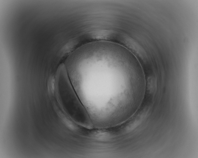X0000114530589200910191323