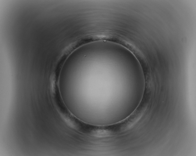 X0000114530590200910191323