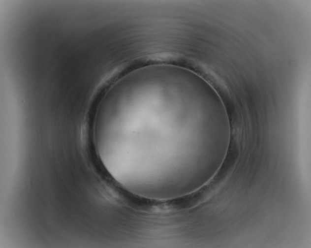 X0000114530591200910191323