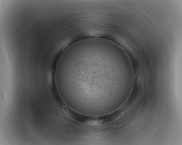 X0000114530595200910191323