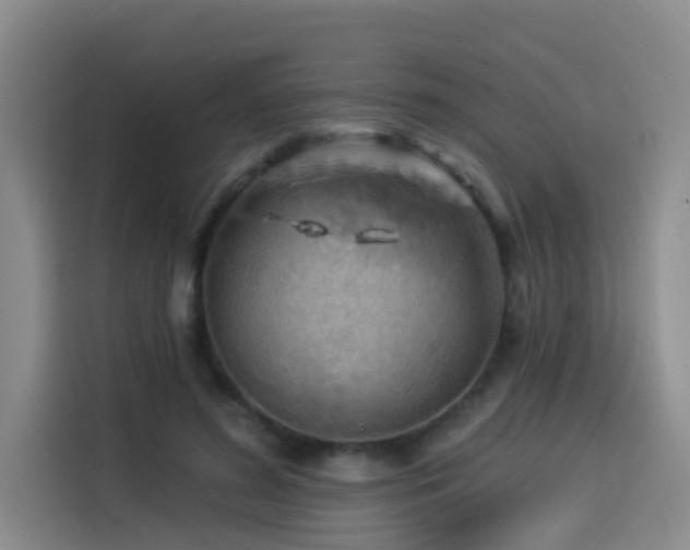 X0000114530596200910191323