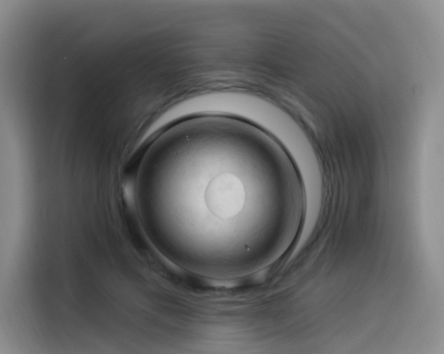 X0000114530597200910191323