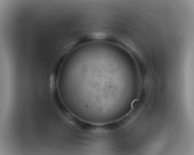 X0000114530598200910191323