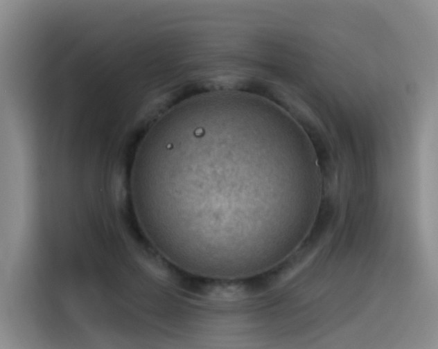 X0000114530599200910191323