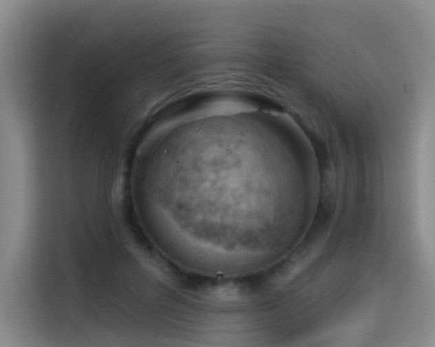 X0000114530600200910191323
