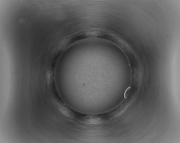 X0000114530601200910191323