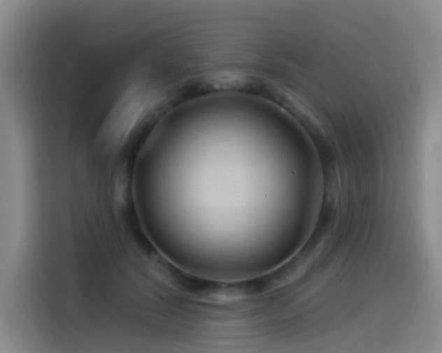 X0000114530604200910191323