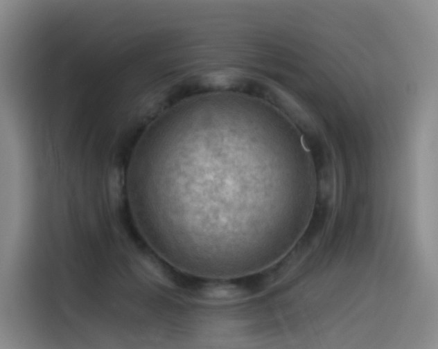 X0000114530605200910191323