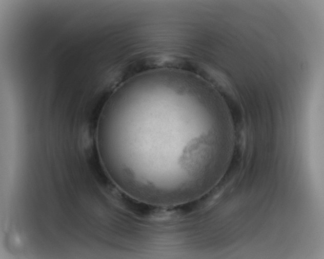 X0000114530607200910191323