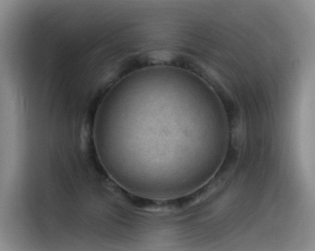 X0000114530608200910191323