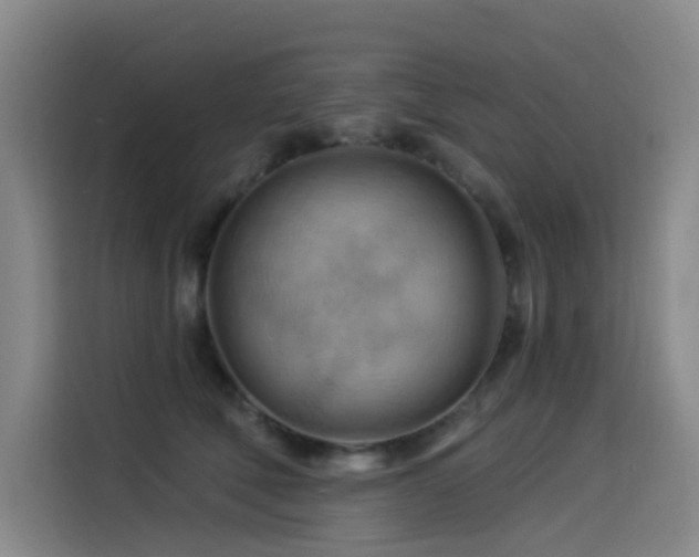 X0000114530610200910191323