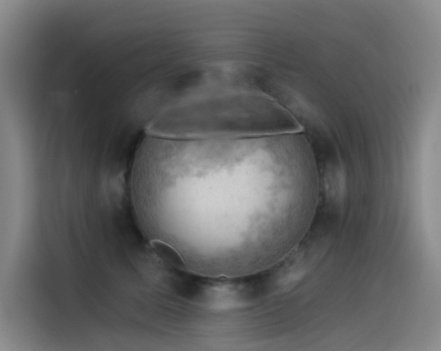 X0000114530611200910191323