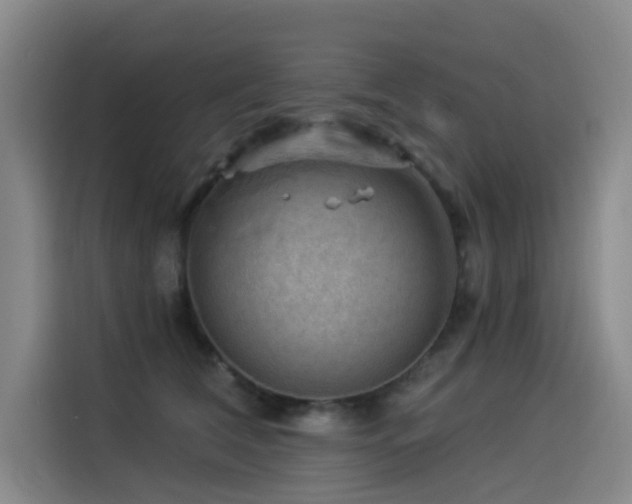 X0000114530612200910191323