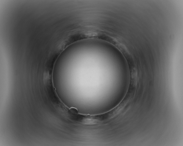 X0000114530614200910191323