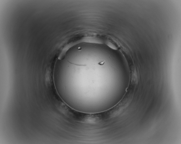 X0000114530616200910191323