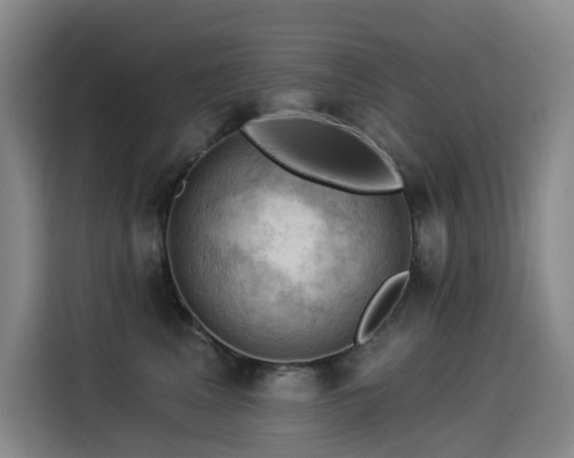 X0000114530617200910191323