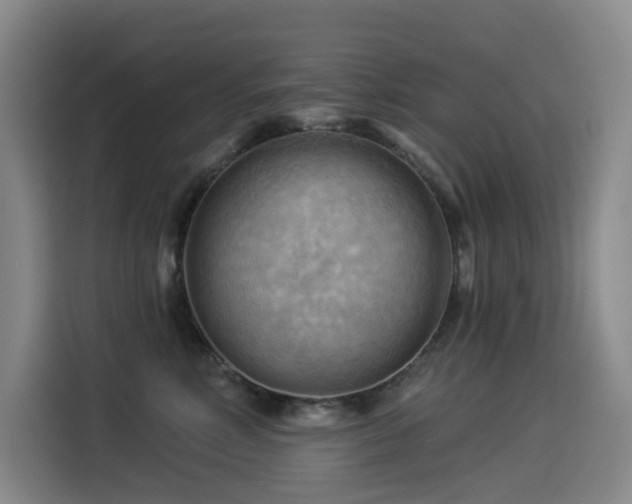X0000114530618200910191323
