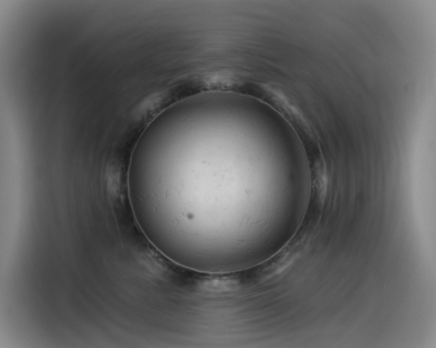 X0000114530619200910191323