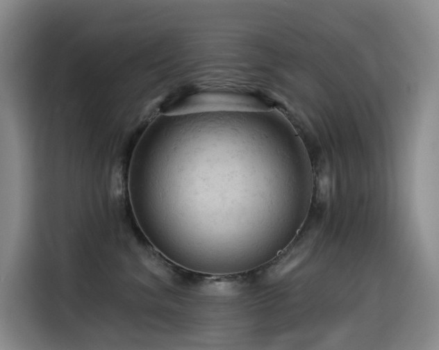 X0000114530620200910191323