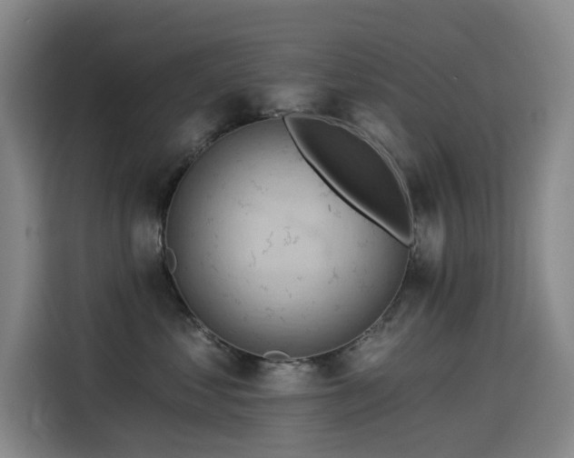 X0000114530621200910191323