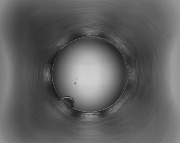 X0000114530622200910191323