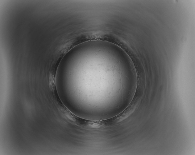 X0000114530624200910191323