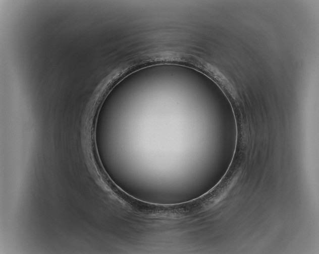 X0000114530625200910191322