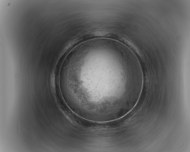 X0000114530626200910191322