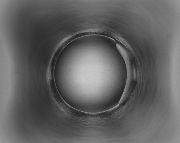 X0000114530628200910191322