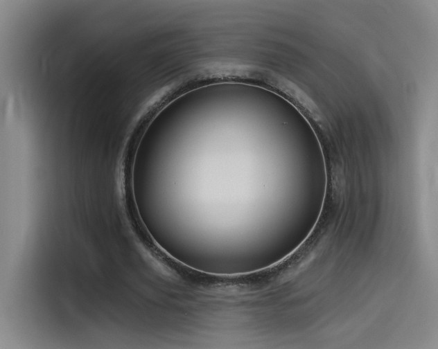 X0000114530629200910191322