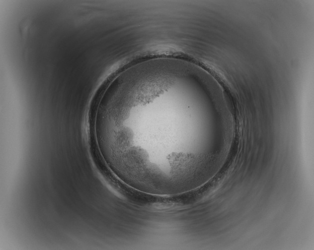 X0000114530630200910191322