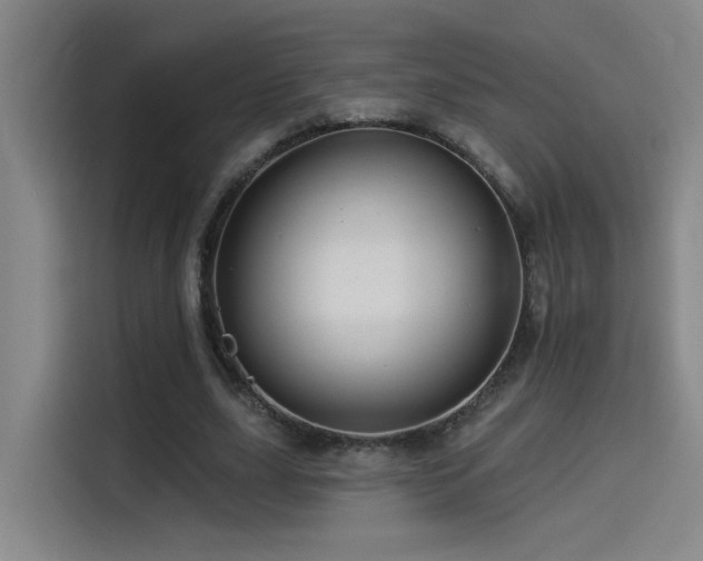 X0000114530631200910191322